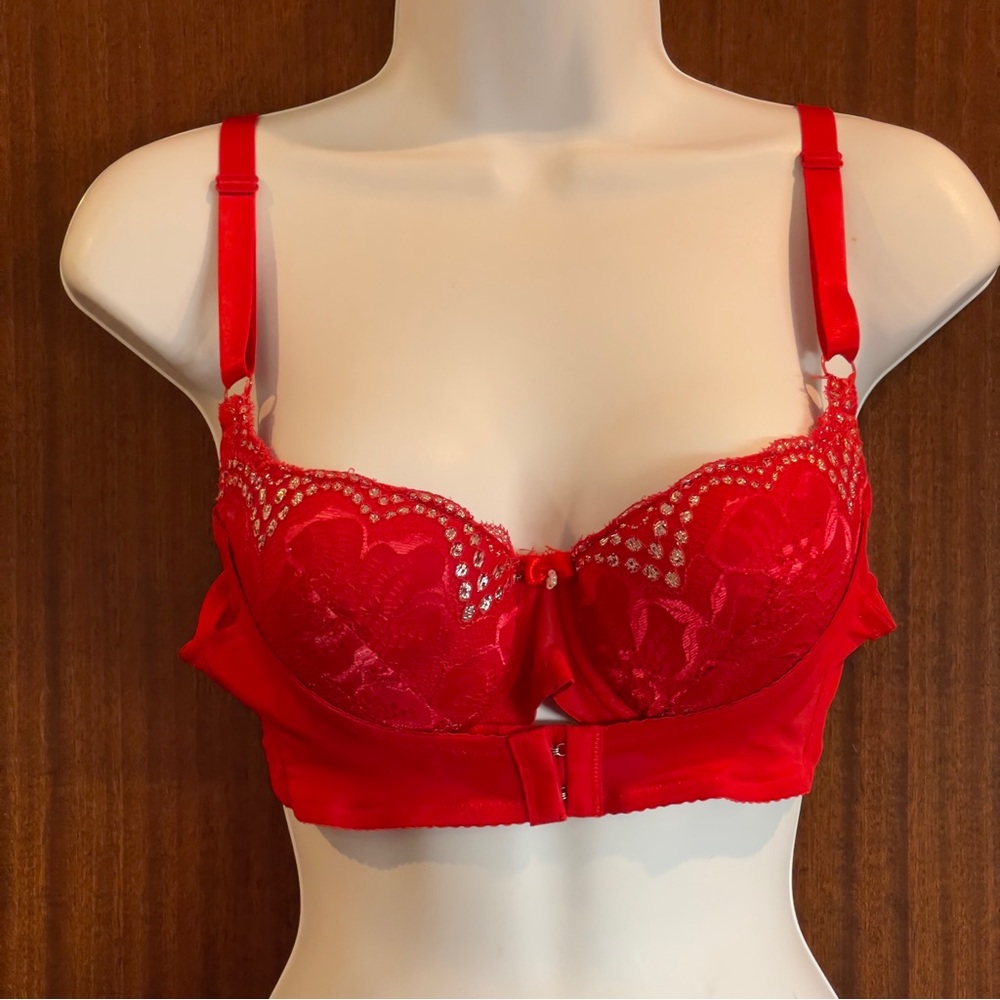 Red Lace Push Up Underwire Bra with Scalloped Edges